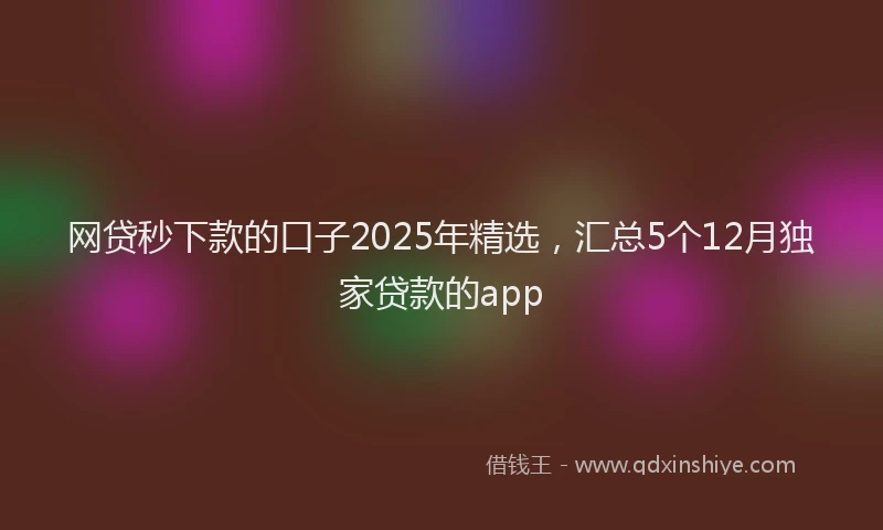 网贷秒下款的口子2025年精选，汇总5个12月独家贷款的app