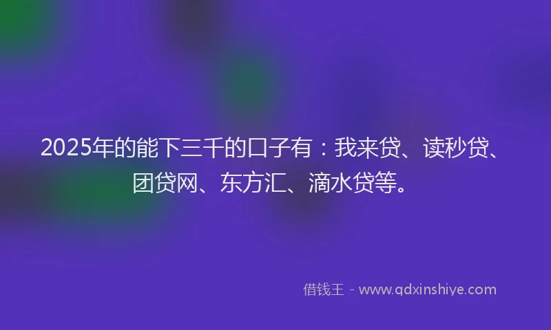 2025年的能下三千的口子有：我来贷、读秒贷、团贷网、东方汇、滴水贷等。