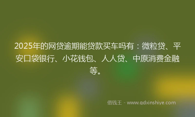 2025年的网贷逾期能贷款买车吗有：微粒贷、平安口袋银行、小花钱包、人人贷、中原消费金融等。