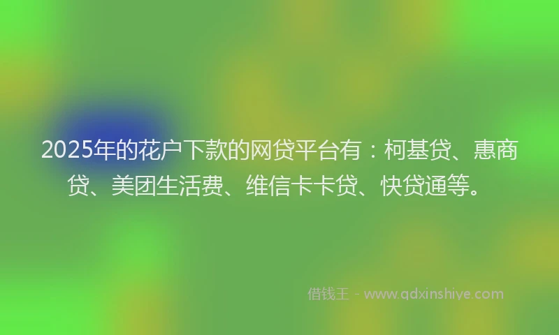 2025年的花户下款的网贷平台有：柯基贷、惠商贷、美团生活费、维信卡卡贷、快贷通等。