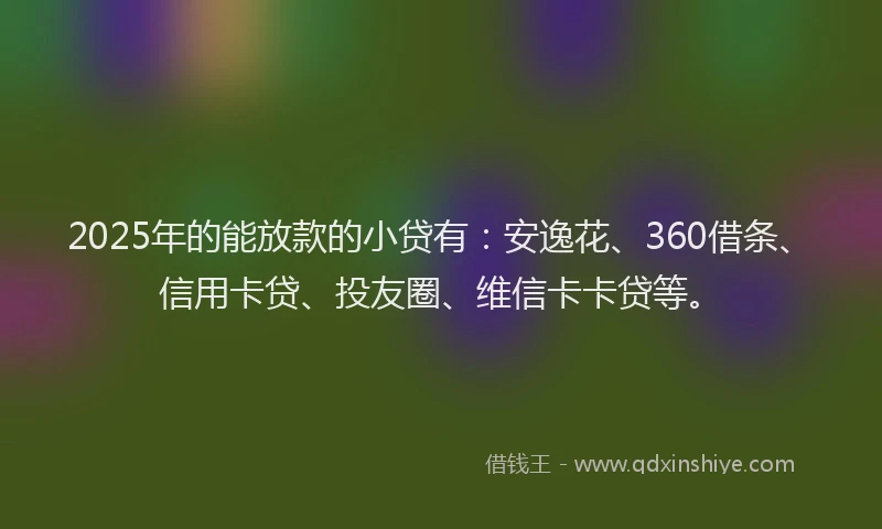 2025年的能放款的小贷有：安逸花、360借条、信用卡贷、投友圈、维信卡卡贷等。
