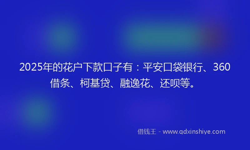 2025年的花户下款口子有：平安口袋银行、360借条、柯基贷、融逸花、还呗等。