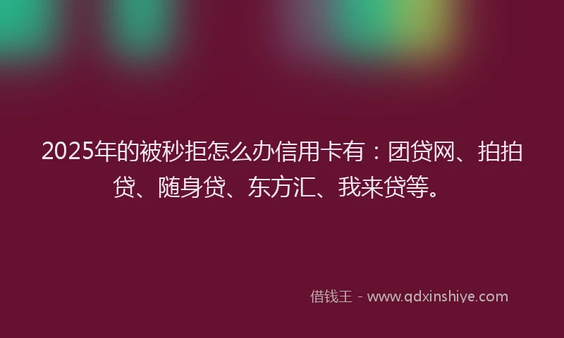 2025年的被秒拒怎么办信用卡有：团贷网、拍拍贷、随身贷、东方汇、我来贷等。