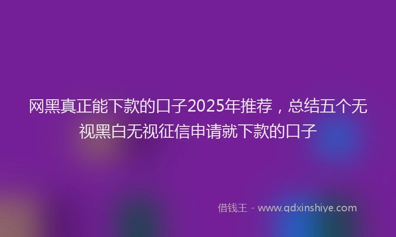 网黑真正能下款的口子2025年推荐，总结五个无视黑白无视征信申请就下款的口子