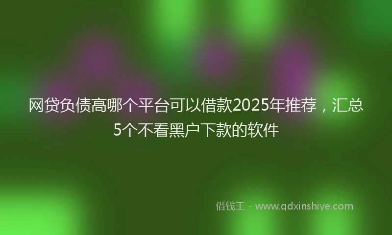 网贷负债高哪个平台可以借款2025年推荐，汇总5个不看黑户下款的软件