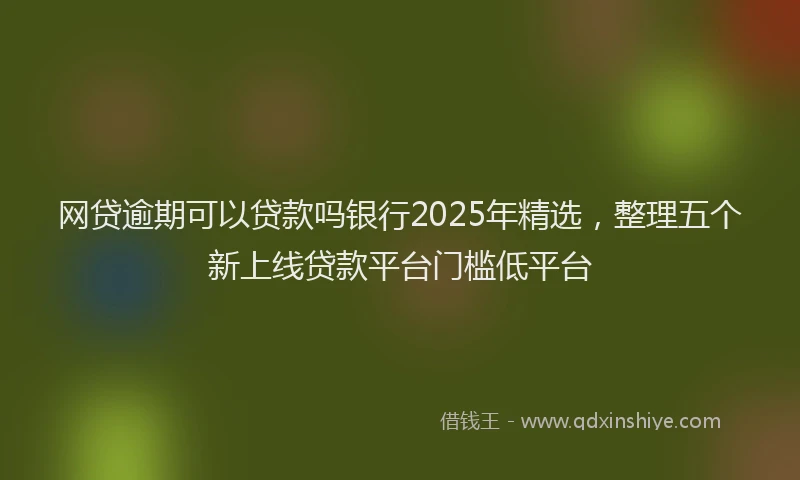 网贷逾期可以贷款吗银行2025年精选，整理五个新上线贷款平台门槛低平台