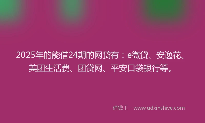 2025年的能借24期的网贷有：e微贷、安逸花、美团生活费、团贷网、平安口袋银行等。