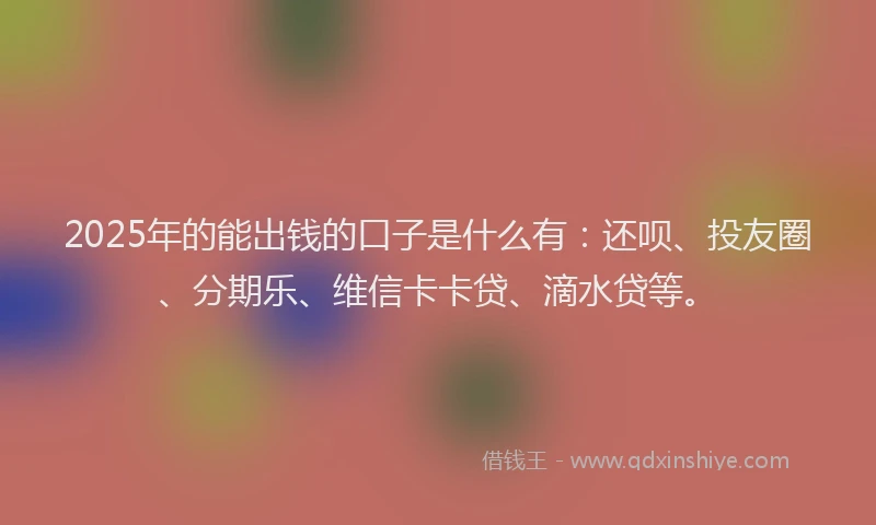 2025年的能出钱的口子是什么有：还呗、投友圈、分期乐、维信卡卡贷、滴水贷等。
