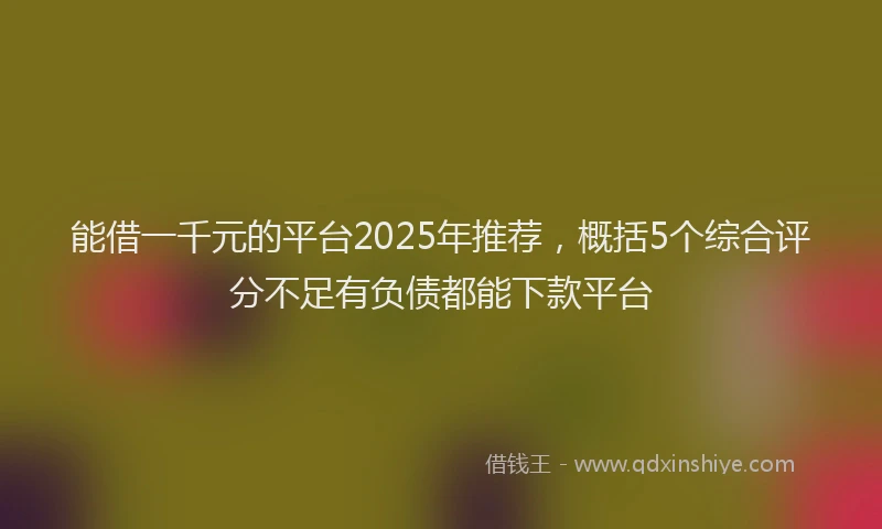 能借一千元的平台2025年推荐，概括5个综合评分不足有负债都能下款平台