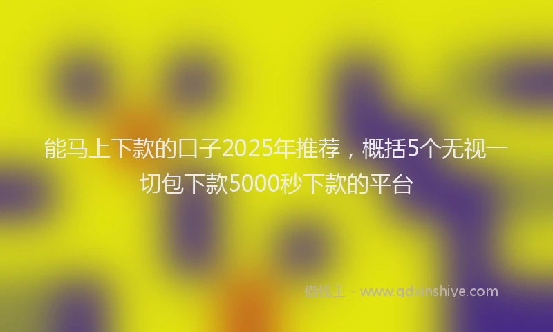 能马上下款的口子2025年推荐，概括5个无视一切包下款5000秒下款的平台