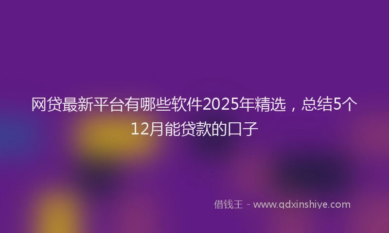 网贷最新平台有哪些软件2025年精选，总结5个12月能贷款的口子