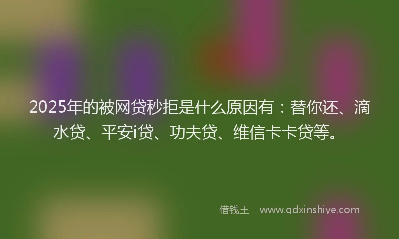 2025年的被网贷秒拒是什么原因有：替你还、滴水贷、平安i贷、功夫贷、维信卡卡贷等。