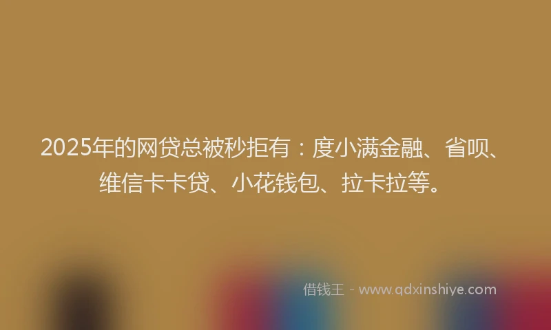 2025年的网贷总被秒拒有：度小满金融、省呗、维信卡卡贷、小花钱包、拉卡拉等。
