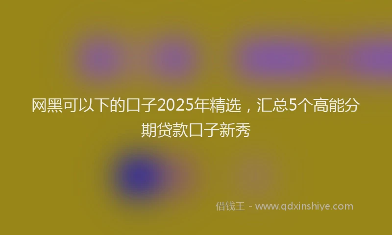 网黑可以下的口子2025年精选，汇总5个高能分期贷款口子新秀