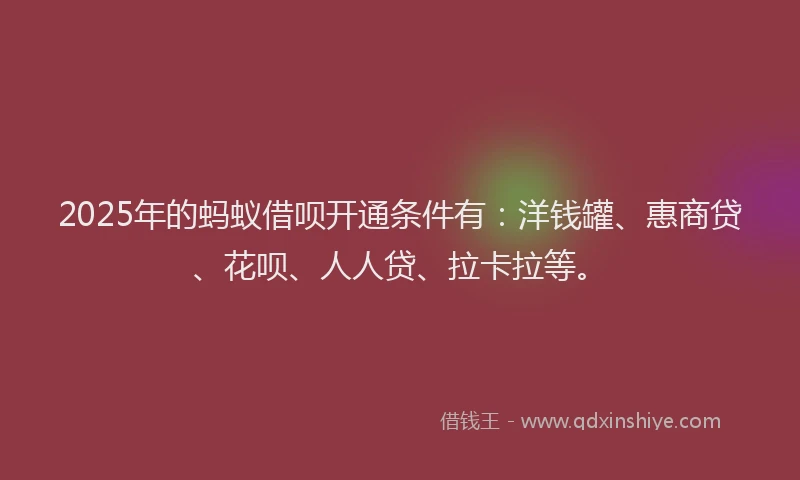 2025年的蚂蚁借呗开通条件有：洋钱罐、惠商贷、花呗、人人贷、拉卡拉等。
