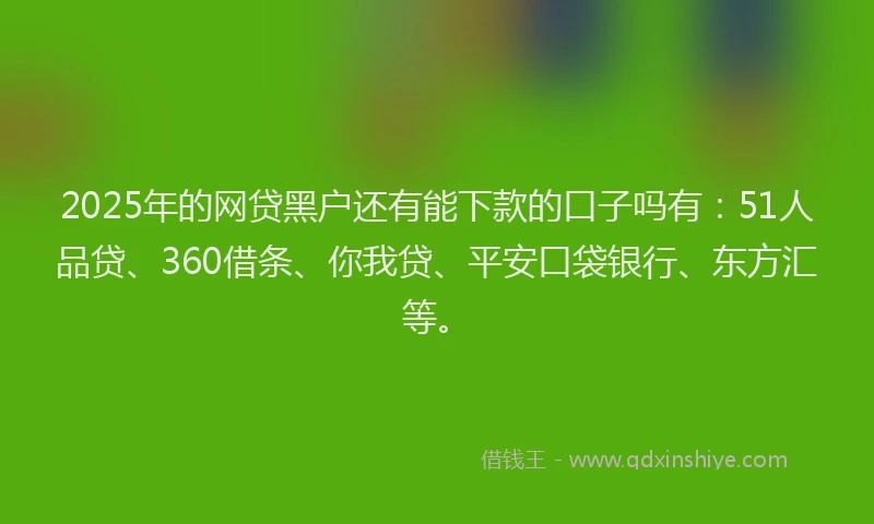 2025年的网贷黑户还有能下款的口子吗有：51人品贷、360借条、你我贷、平安口袋银行、东方汇等。