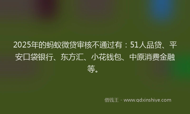 2025年的蚂蚁微贷审核不通过有：51人品贷、平安口袋银行、东方汇、小花钱包、中原消费金融等。