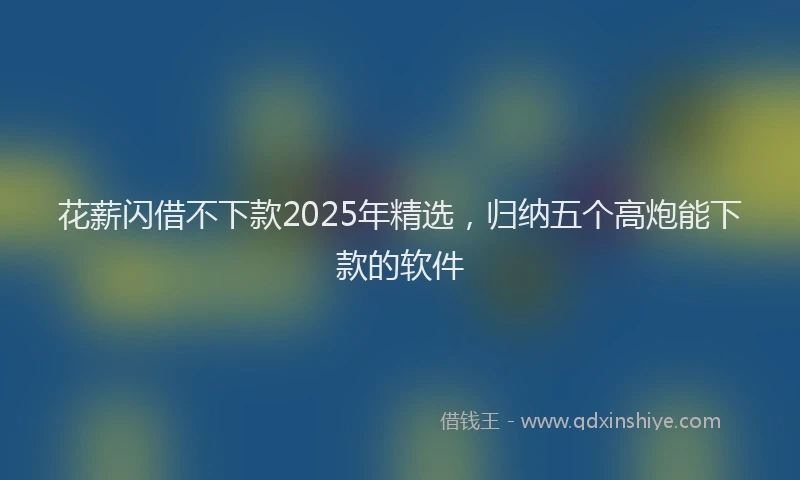 花薪闪借不下款2025年精选，归纳五个高炮能下款的软件