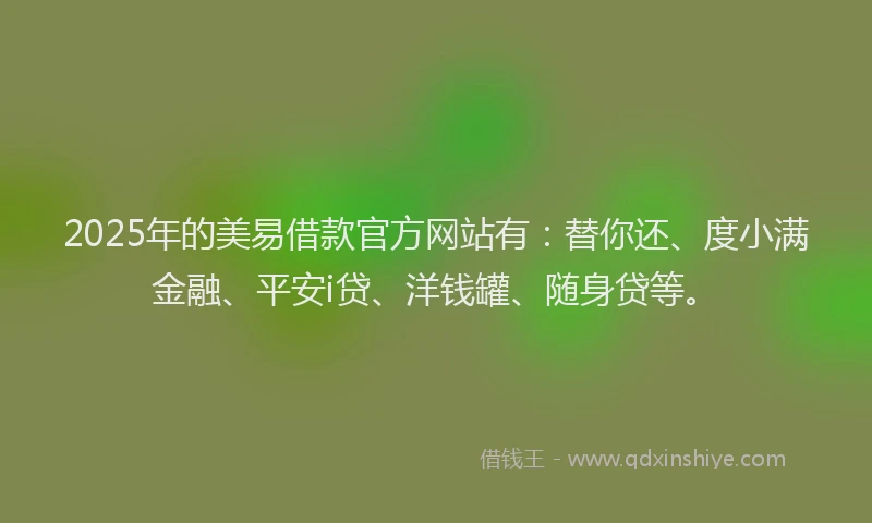 2025年的美易借款官方网站有：替你还、度小满金融、平安i贷、洋钱罐、随身贷等。