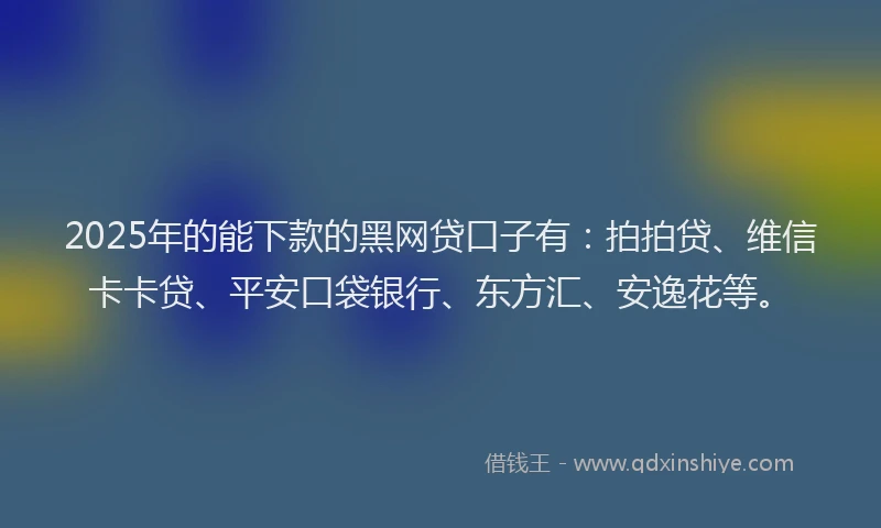 2025年的能下款的黑网贷口子有：拍拍贷、维信卡卡贷、平安口袋银行、东方汇、安逸花等。