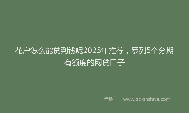花户怎么能贷到钱呢2025年推荐，罗列5个分期有额度的网贷口子