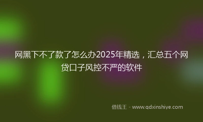 网黑下不了款了怎么办2025年精选，汇总五个网贷口子风控不严的软件