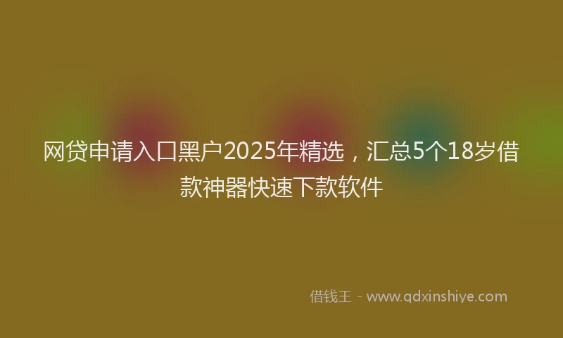 网贷申请入口黑户2025年精选，汇总5个18岁借款神器快速下款软件