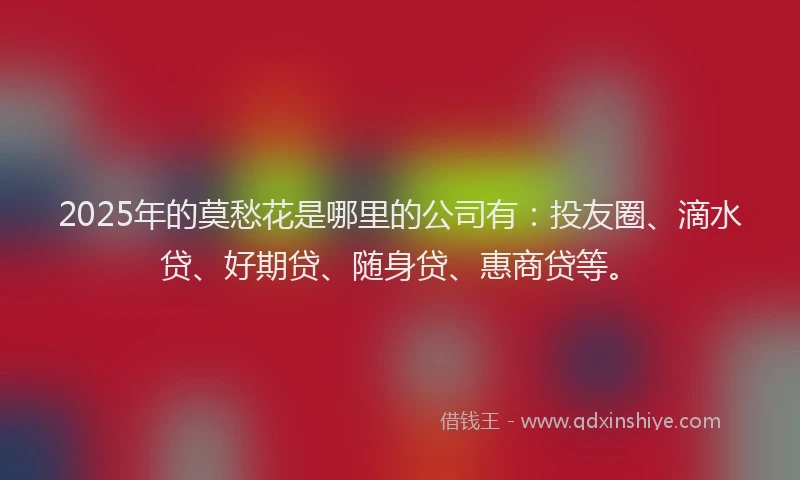 2025年的莫愁花是哪里的公司有：投友圈、滴水贷、好期贷、随身贷、惠商贷等。