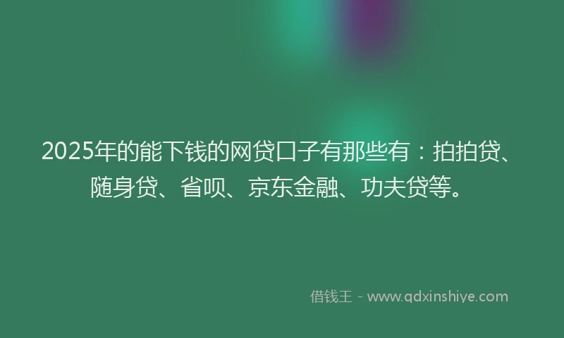 2025年的能下钱的网贷口子有那些有：拍拍贷、随身贷、省呗、京东金融、功夫贷等。