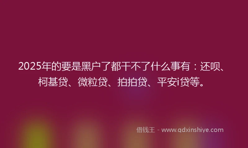 2025年的要是黑户了都干不了什么事有：还呗、柯基贷、微粒贷、拍拍贷、平安i贷等。