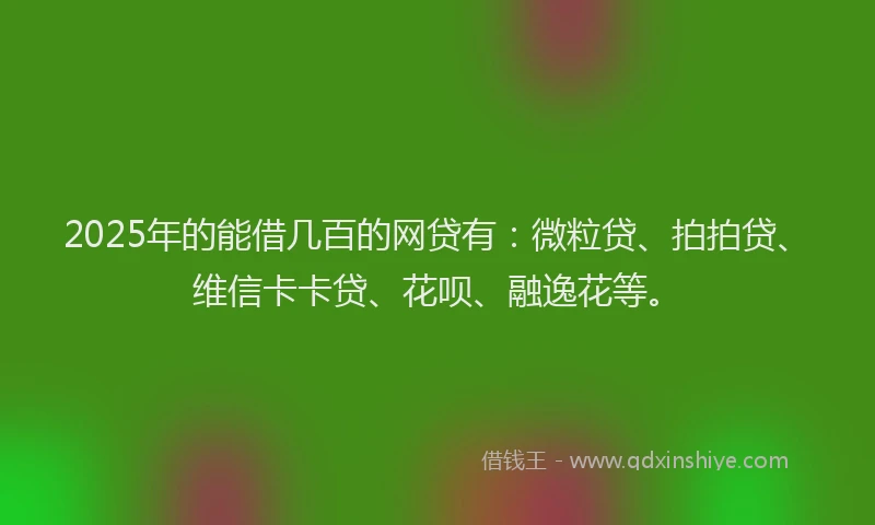 2025年的能借几百的网贷有：微粒贷、拍拍贷、维信卡卡贷、花呗、融逸花等。