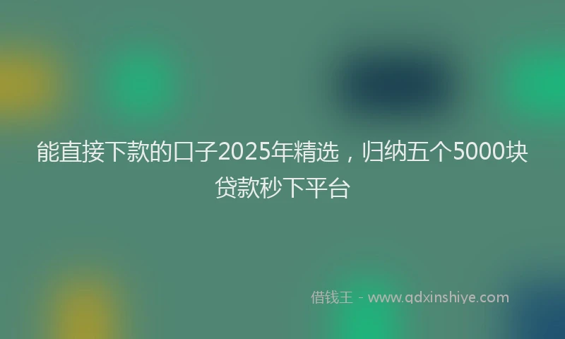 能直接下款的口子2025年精选，归纳五个5000块贷款秒下平台