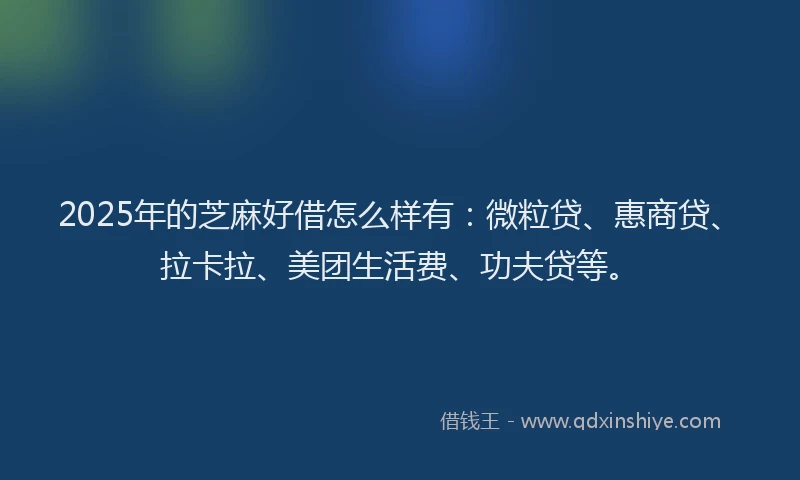 2025年的芝麻好借怎么样有：微粒贷、惠商贷、拉卡拉、美团生活费、功夫贷等。