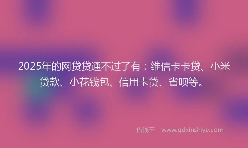 2025年的网贷贷通不过了有：维信卡卡贷、小米贷款、小花钱包、信用卡贷、省呗等。