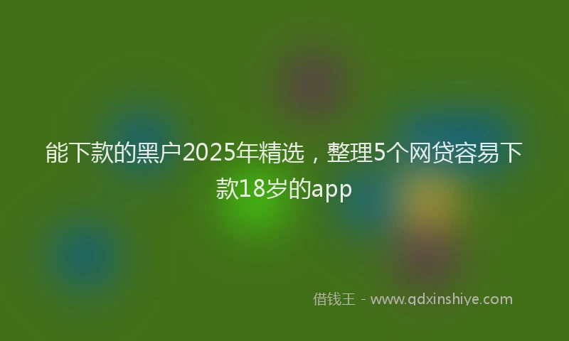 能下款的黑户2025年精选，整理5个网贷容易下款18岁的app