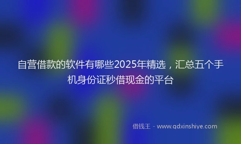 自营借款的软件有哪些2025年精选，汇总五个手机身份证秒借现金的平台