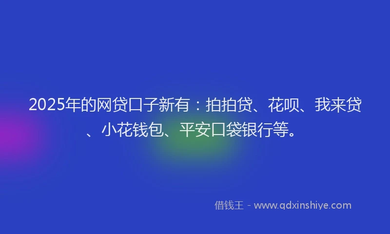 2025年的网贷口子新有：拍拍贷、花呗、我来贷、小花钱包、平安口袋银行等。
