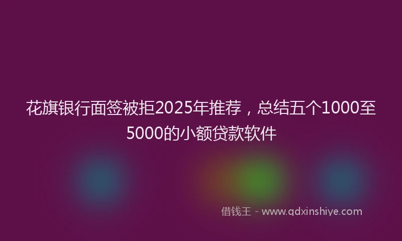花旗银行面签被拒2025年推荐，总结五个1000至5000的小额贷款软件