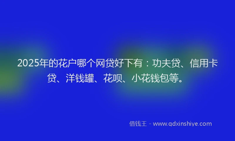 2025年的花户哪个网贷好下有：功夫贷、信用卡贷、洋钱罐、花呗、小花钱包等。