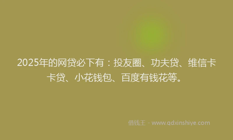 2025年的网贷必下有：投友圈、功夫贷、维信卡卡贷、小花钱包、百度有钱花等。