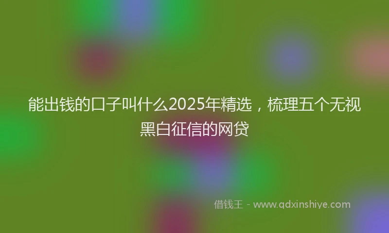 能出钱的口子叫什么2025年精选，梳理五个无视黑白征信的网贷