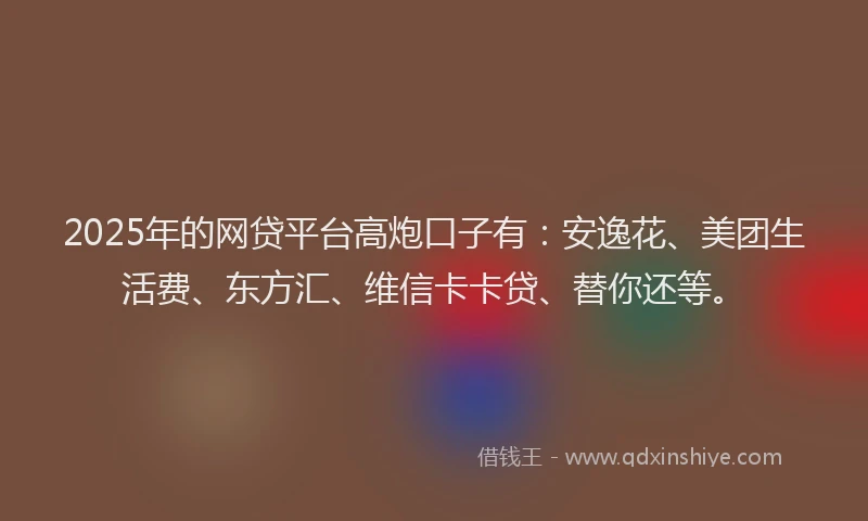 2025年的网贷平台高炮口子有：安逸花、美团生活费、东方汇、维信卡卡贷、替你还等。
