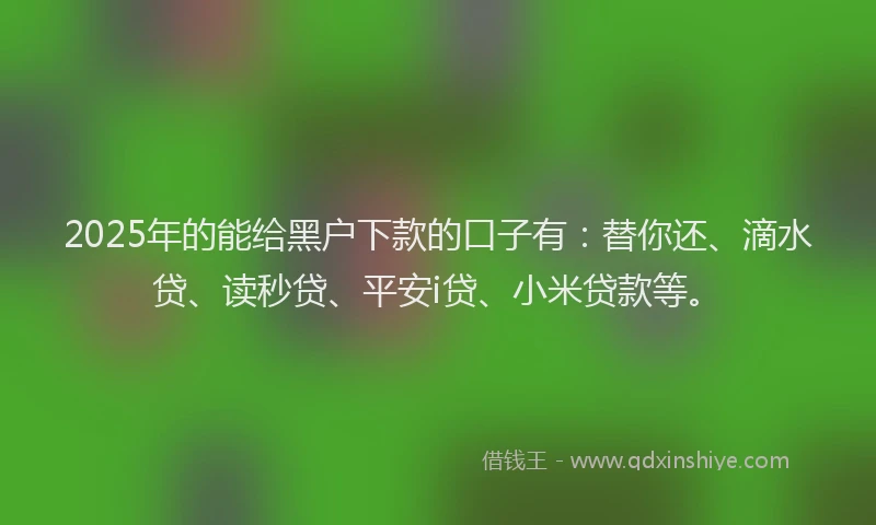 2025年的能给黑户下款的口子有：替你还、滴水贷、读秒贷、平安i贷、小米贷款等。