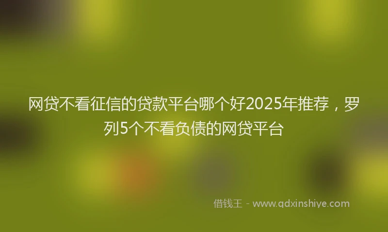 网贷不看征信的贷款平台哪个好2025年推荐，罗列5个不看负债的网贷平台