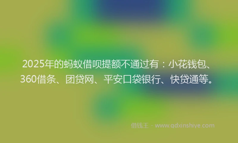 2025年的蚂蚁借呗提额不通过有：小花钱包、360借条、团贷网、平安口袋银行、快贷通等。