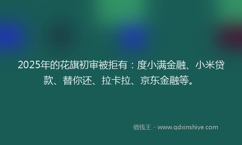 2025年的花旗初审被拒有：度小满金融、小米贷款、替你还、拉卡拉、京东金融等。