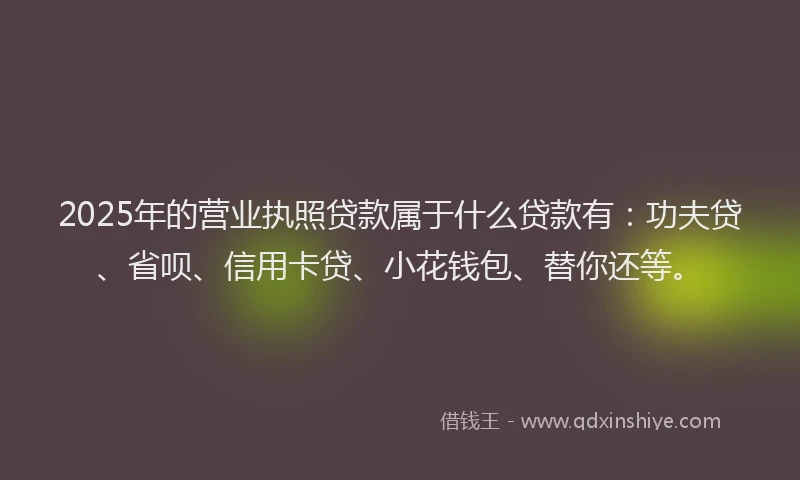 2025年的营业执照贷款属于什么贷款有：功夫贷、省呗、信用卡贷、小花钱包、替你还等。