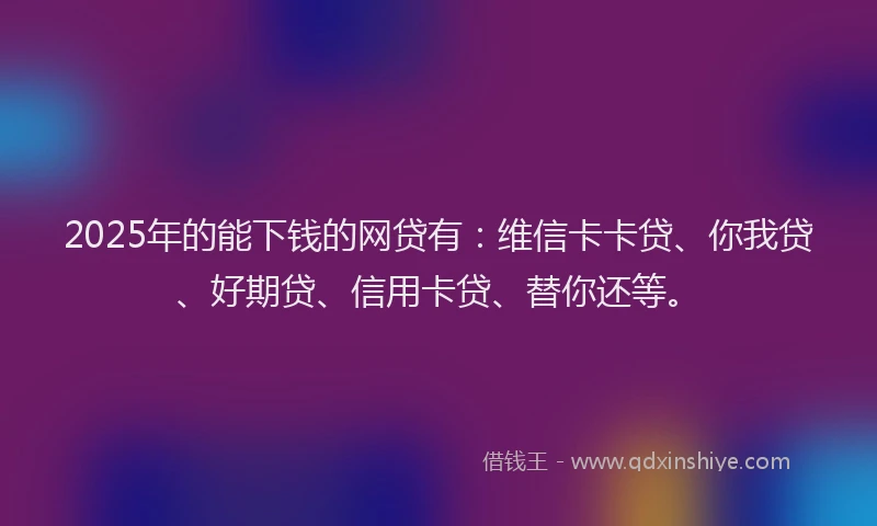 2025年的能下钱的网贷有：维信卡卡贷、你我贷、好期贷、信用卡贷、替你还等。