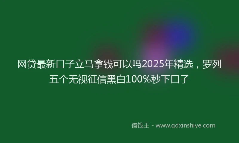 网贷最新口子立马拿钱可以吗2025年精选，罗列五个无视征信黑白100%秒下口子