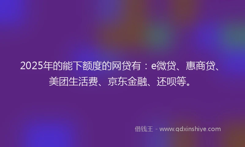 2025年的能下额度的网贷有：e微贷、惠商贷、美团生活费、京东金融、还呗等。